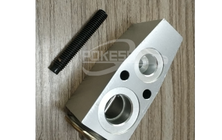 DG9Z19849A DG9Z19849B DG9H19C621AB DG9H19C621BA Expansion Valve (Evaporator) for Ford Mondeo 13/Focus 15