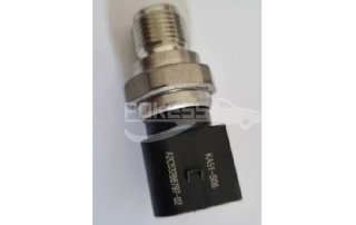 A2C53288797 KA51-S06 A2C5328879702 A2C53288797-02 5WS40683 Fuel Injection Nozzle Pressure Valve For Ford Car