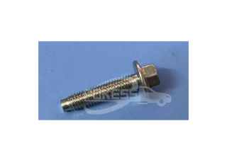 POKESS Automotive LR068809 Timing Chain Top Screw for Ford