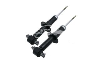 15909491 5886465 19420489 Front Shock Absorber for Escalade Avalanche Silverado1500 Suburban1500 Tahoe Sierra1500 Yukon