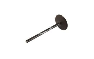 12629513 Intake Valve for Cadillac Escalade,Chevrolet Silverado 1500,Suburban,Tahoe GMC:Yukon/6.2