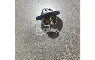 XS7Q8575AA 1096283 XS7Z8575A U20215171 Thermostat for Ford TRANSIT/RANGER 12