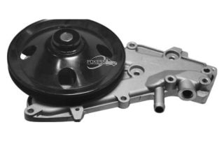 7701462145 7701466419 7701462491 7701463377 Water Pump for RENAULT