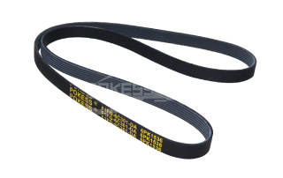 F1FG6C301DA 8552-5214 F1FZ8620A 1863979 Belt 6PK1536 for Ford Fo-cus 15/Ku-ga 13 1.5