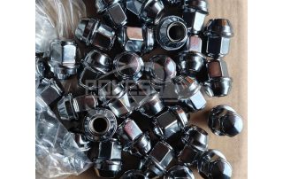 ACPA1012D2A ACPA-1012-DXA Tire Nut for Ford Kuga.Ecosport.Escort.Focus 19.Foucs 12-14.Foucs 15-18.C