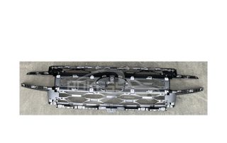Auto Body Parts NL1Z8200AAPTM NL1B8A133AAPRAA Grille Strip for Ford 2020 EXPEDITION
