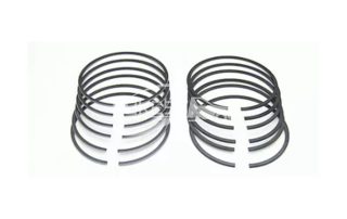 AG9E6148AA AG9E6148AB AG9Z6148A FB5Z6148A AG9Z6148D Piston Ring for Ford Mondeo Edge 13 Zhisheng Explorer, CC7/2.0T 203