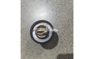 XS7Q8575AA 1096283 XS7Z8575A U20215171 Thermostat for Ford TRANSIT/RANGER 12