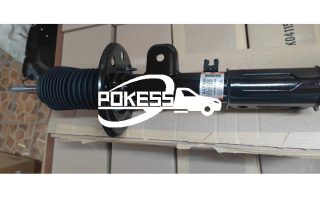 Genuine Parts FB5Z18124M Original US American Suspension Front Shock Absorber for Ford Explorer 11-19