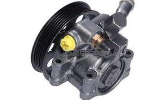 EC01-32-600E EC01-32-600D 4539672 4916704 EC01-32-600G EC01-32-600H Power Steering Pump for Mazda